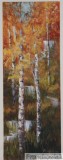 Click to View Autumn Birch Falls